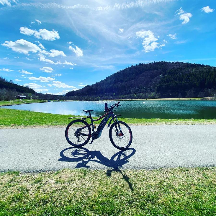 Auszeit Am See Winterberg Exterior foto